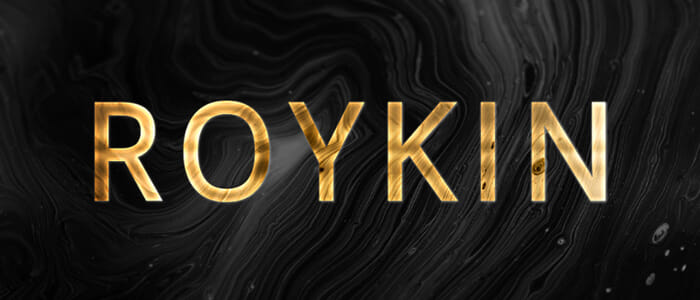 logo de la marque roykin